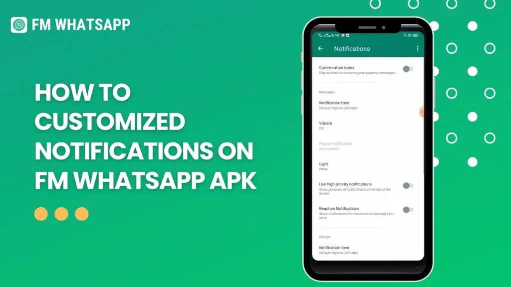 how to customize notifications on fmwhatsapp apk with its image